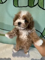 processed/e613e2bd-6181-4680-ad1e-64c480a06dde/facility/c343bf09-75f3-4f45-9190-4dcb7ac46920