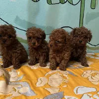 processed/e613e2bd-6181-4680-ad1e-64c480a06dde/facility/e3b1c7b4-fff0-45a1-b198-985b053210f2