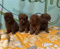 processed/e613e2bd-6181-4680-ad1e-64c480a06dde/facility/e3b1c7b4-fff0-45a1-b198-985b053210f2