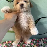 processed/e613e2bd-6181-4680-ad1e-64c480a06dde/facility/f13f951e-60ea-4512-90c9-aa74f3b863ed