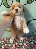 processed/e613e2bd-6181-4680-ad1e-64c480a06dde/facility/f13f951e-60ea-4512-90c9-aa74f3b863ed