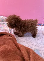 processed/e613e2bd-6181-4680-ad1e-64c480a06dde/listing/33c26d8b-530a-4055-9e6f-9a8cfdf5caf1/04b85e0e-3b7d-402c-bba3-e5e4c8056312