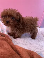 processed/e613e2bd-6181-4680-ad1e-64c480a06dde/listing/33c26d8b-530a-4055-9e6f-9a8cfdf5caf1/48895da9-75f1-4032-bb6d-ba015afb7975