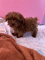 processed/e613e2bd-6181-4680-ad1e-64c480a06dde/listing/33c26d8b-530a-4055-9e6f-9a8cfdf5caf1/8f176ca7-636a-4667-9245-5df58f90139b