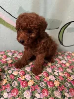 processed/e613e2bd-6181-4680-ad1e-64c480a06dde/listing/3fc1c2da-c961-4bc5-bb55-458917d0ec17/dd22ba72-43fa-47c1-803e-90797d672d67