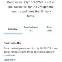 AKC f3(embark all clear), a female Poodle - Toy  for sale in Newalla, OK – Photo 6 of 6