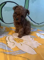 processed/e613e2bd-6181-4680-ad1e-64c480a06dde/listing/7c808381-3d9e-4316-a06c-ab7ed6213060/1ed0eaa0-abd0-4ebc-9b34-2260fd221dbc