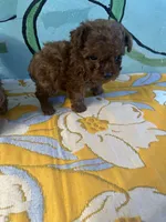 processed/e613e2bd-6181-4680-ad1e-64c480a06dde/listing/7c808381-3d9e-4316-a06c-ab7ed6213060/5d7bd197-2461-44ae-841b-9b2b7aac2c8a