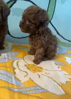 processed/e613e2bd-6181-4680-ad1e-64c480a06dde/listing/7c808381-3d9e-4316-a06c-ab7ed6213060/6b5a023d-c477-459c-ad7b-7da5c5487359