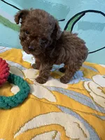 processed/e613e2bd-6181-4680-ad1e-64c480a06dde/listing/7c808381-3d9e-4316-a06c-ab7ed6213060/6dac7cbc-29d6-4137-be7b-32d2ef17765f