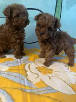 processed/e613e2bd-6181-4680-ad1e-64c480a06dde/listing/7c808381-3d9e-4316-a06c-ab7ed6213060/b9870631-7069-484c-ab65-d94de517e806