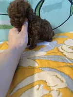 processed/e613e2bd-6181-4680-ad1e-64c480a06dde/listing/7c808381-3d9e-4316-a06c-ab7ed6213060/e1689641-63d6-4c74-8f5c-ed06e78ffd46