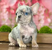 processed/e61645b9-9446-465e-8d2c-9e7bc96b8c60/listing/104f9065-a457-4ad4-866b-ec22d64f6ee2/3728609b-109a-427c-8c57-c0179c36a20c