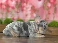 processed/e61645b9-9446-465e-8d2c-9e7bc96b8c60/listing/104f9065-a457-4ad4-866b-ec22d64f6ee2/b458fd5d-7249-48f0-9de5-8fac0be4bc9b