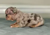 processed/e61645b9-9446-465e-8d2c-9e7bc96b8c60/listing/104f9065-a457-4ad4-866b-ec22d64f6ee2/b725b8b6-d6cf-4a01-bb27-d0ac59a8f2df