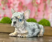 processed/e61645b9-9446-465e-8d2c-9e7bc96b8c60/listing/104f9065-a457-4ad4-866b-ec22d64f6ee2/c9ed894e-15fd-4cb3-bdba-5a4160e3a5a6