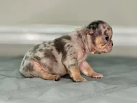 processed/e61645b9-9446-465e-8d2c-9e7bc96b8c60/listing/104f9065-a457-4ad4-866b-ec22d64f6ee2/f3f673c8-f5cc-4e41-8b8d-36f38a7b91c8