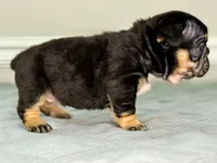 processed/e61645b9-9446-465e-8d2c-9e7bc96b8c60/listing/8e5a1762-37c3-4cd4-838b-a3086f896483/21c70a06-4194-451a-ac5d-02c875ef6a08