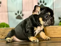 processed/e61645b9-9446-465e-8d2c-9e7bc96b8c60/listing/8e5a1762-37c3-4cd4-838b-a3086f896483/2d0c558c-b413-4e05-9d59-14ef9ec51273