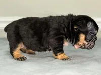 processed/e61645b9-9446-465e-8d2c-9e7bc96b8c60/listing/8e5a1762-37c3-4cd4-838b-a3086f896483/5e290330-8174-4df2-b4e1-a67a4a98ff40