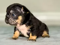 processed/e61645b9-9446-465e-8d2c-9e7bc96b8c60/listing/8e5a1762-37c3-4cd4-838b-a3086f896483/770bd3a0-6c1f-4345-b5ab-20d109568811