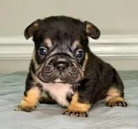 processed/e61645b9-9446-465e-8d2c-9e7bc96b8c60/listing/8e5a1762-37c3-4cd4-838b-a3086f896483/94852ea2-8dfe-4da8-bc2d-fc190bb7dd07