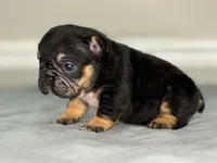 processed/e61645b9-9446-465e-8d2c-9e7bc96b8c60/listing/8e5a1762-37c3-4cd4-838b-a3086f896483/9f19acae-ab89-4b1a-be6f-ed44c03562a9