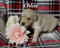 processed/e61a7c49-1e9e-4727-b8c9-f5a799bd88ae/listing/237f66d7-aa08-4eba-8156-202f3796168d/3d53831c-35e1-45fe-832e-d4b774a56e65