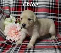 processed/e61a7c49-1e9e-4727-b8c9-f5a799bd88ae/listing/237f66d7-aa08-4eba-8156-202f3796168d/45bacdee-a0c4-4ae0-a6a0-e8459ab5e0e6