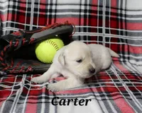 processed/e61a7c49-1e9e-4727-b8c9-f5a799bd88ae/listing/9ee3c69a-2289-4a69-a8b9-9a0f51598bdd/d6c72526-fbe6-4989-9513-d303735f5bf5