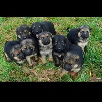 processed/e628ee3b-dcda-4fad-8618-a6bbf4165c61/facility/0ea56fd9-2578-4bd7-ba62-c9b5636bea32