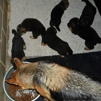 processed/e628ee3b-dcda-4fad-8618-a6bbf4165c61/facility/2744b0d0-101b-454f-8702-04e9ec6de83f