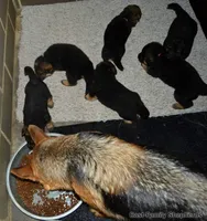 processed/e628ee3b-dcda-4fad-8618-a6bbf4165c61/facility/2744b0d0-101b-454f-8702-04e9ec6de83f