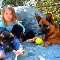 processed/e628ee3b-dcda-4fad-8618-a6bbf4165c61/facility/805a7df9-f6da-440b-9cf9-3195ba9cb43a