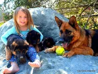 processed/e628ee3b-dcda-4fad-8618-a6bbf4165c61/facility/805a7df9-f6da-440b-9cf9-3195ba9cb43a