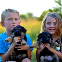 processed/e628ee3b-dcda-4fad-8618-a6bbf4165c61/facility/fd93cdc3-8190-40f5-abf0-9e1373957dab