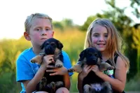 processed/e628ee3b-dcda-4fad-8618-a6bbf4165c61/facility/fd93cdc3-8190-40f5-abf0-9e1373957dab