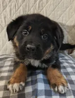 processed/e628ee3b-dcda-4fad-8618-a6bbf4165c61/listing/2263fe48-5643-4d8c-ad4d-1d8331716326/04018797-9b02-45f8-bbfd-88e026f1f16b