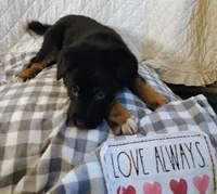 processed/e628ee3b-dcda-4fad-8618-a6bbf4165c61/listing/2263fe48-5643-4d8c-ad4d-1d8331716326/3d42b792-6361-4487-90d4-142bead8ba98