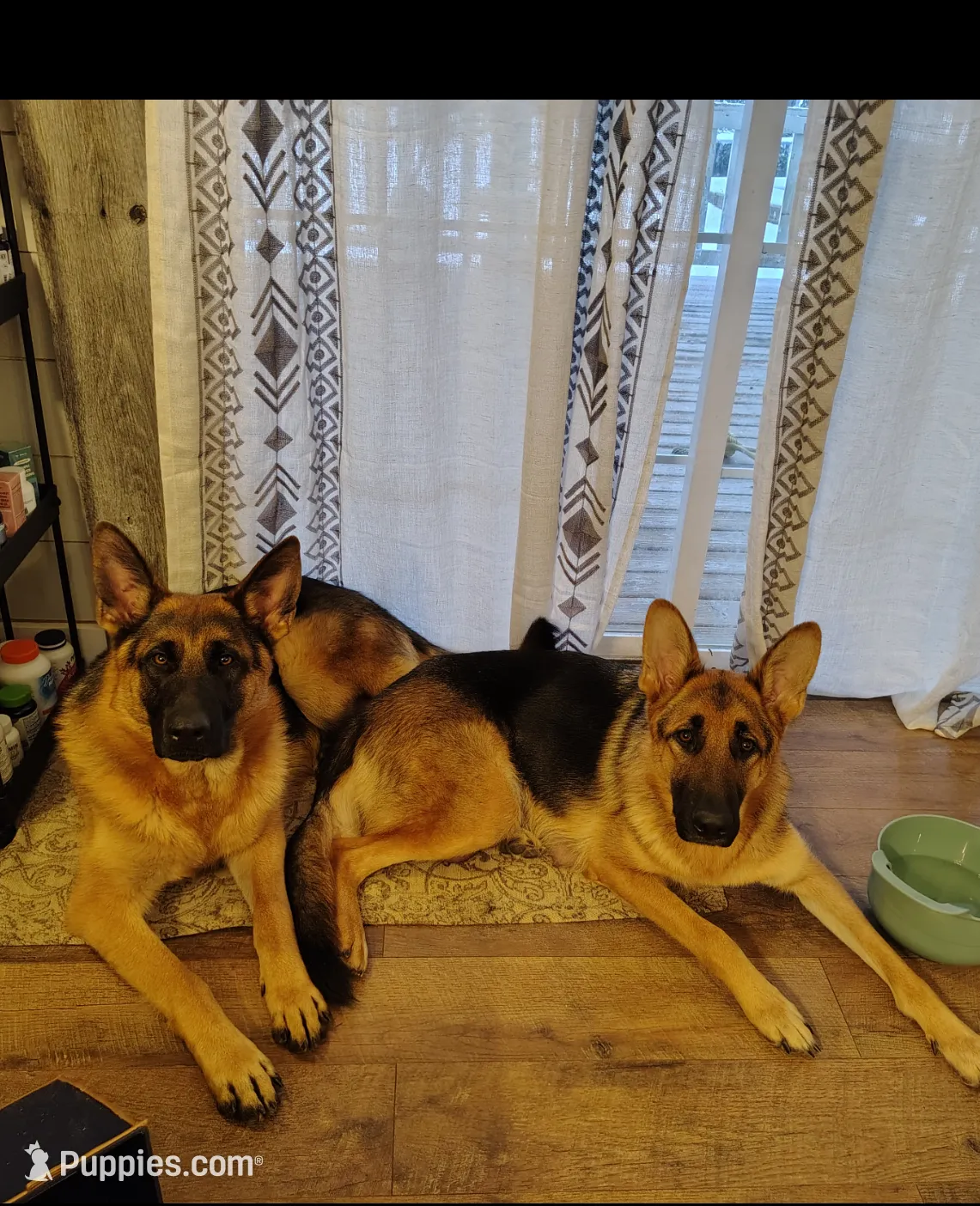 processed/e628ee3b-dcda-4fad-8618-a6bbf4165c61/listing/2263fe48-5643-4d8c-ad4d-1d8331716326/b79e89c4-a15b-42d6-a054-6ca30266a5da