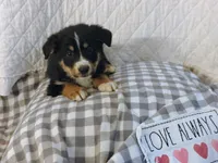 processed/e628ee3b-dcda-4fad-8618-a6bbf4165c61/listing/38689517-fa51-419d-a79d-7f74d04f4e1e/3dbbd334-c2f1-4713-8e0e-68dbfc8294cf