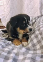 processed/e628ee3b-dcda-4fad-8618-a6bbf4165c61/listing/38689517-fa51-419d-a79d-7f74d04f4e1e/6fd9baa6-e22a-4e7b-ac81-3eb22d7bb39b