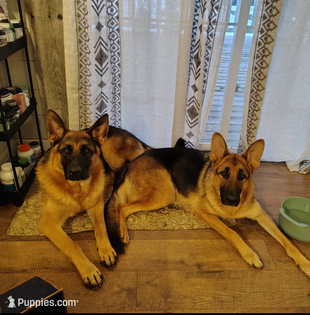 processed/e628ee3b-dcda-4fad-8618-a6bbf4165c61/listing/38689517-fa51-419d-a79d-7f74d04f4e1e/96f6e5a5-da8c-4afd-8fcc-598924555f9b