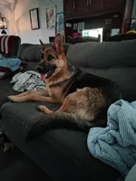 processed/e628ee3b-dcda-4fad-8618-a6bbf4165c61/listing/38689517-fa51-419d-a79d-7f74d04f4e1e/f01559bd-2caa-4129-844e-b5f29325c759