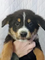 processed/e628ee3b-dcda-4fad-8618-a6bbf4165c61/listing/38689517-fa51-419d-a79d-7f74d04f4e1e/fbac654b-8086-4f7a-bf1f-14a8163f226a