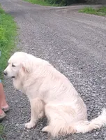 processed/e628ee3b-dcda-4fad-8618-a6bbf4165c61/listing/dbe1f456-6578-4796-bebc-e969023c43d1/925eea44-eaa0-4a55-8fb7-cbd2874686b8