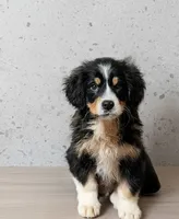 processed/e628ee3b-dcda-4fad-8618-a6bbf4165c61/listing/dbe1f456-6578-4796-bebc-e969023c43d1/da81deaf-67cb-4af4-9aaf-263d8e429e7d