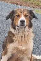 processed/e628ee3b-dcda-4fad-8618-a6bbf4165c61/listing/dbe1f456-6578-4796-bebc-e969023c43d1/f792de9f-a5d6-45fe-8239-8ed5e01152b1