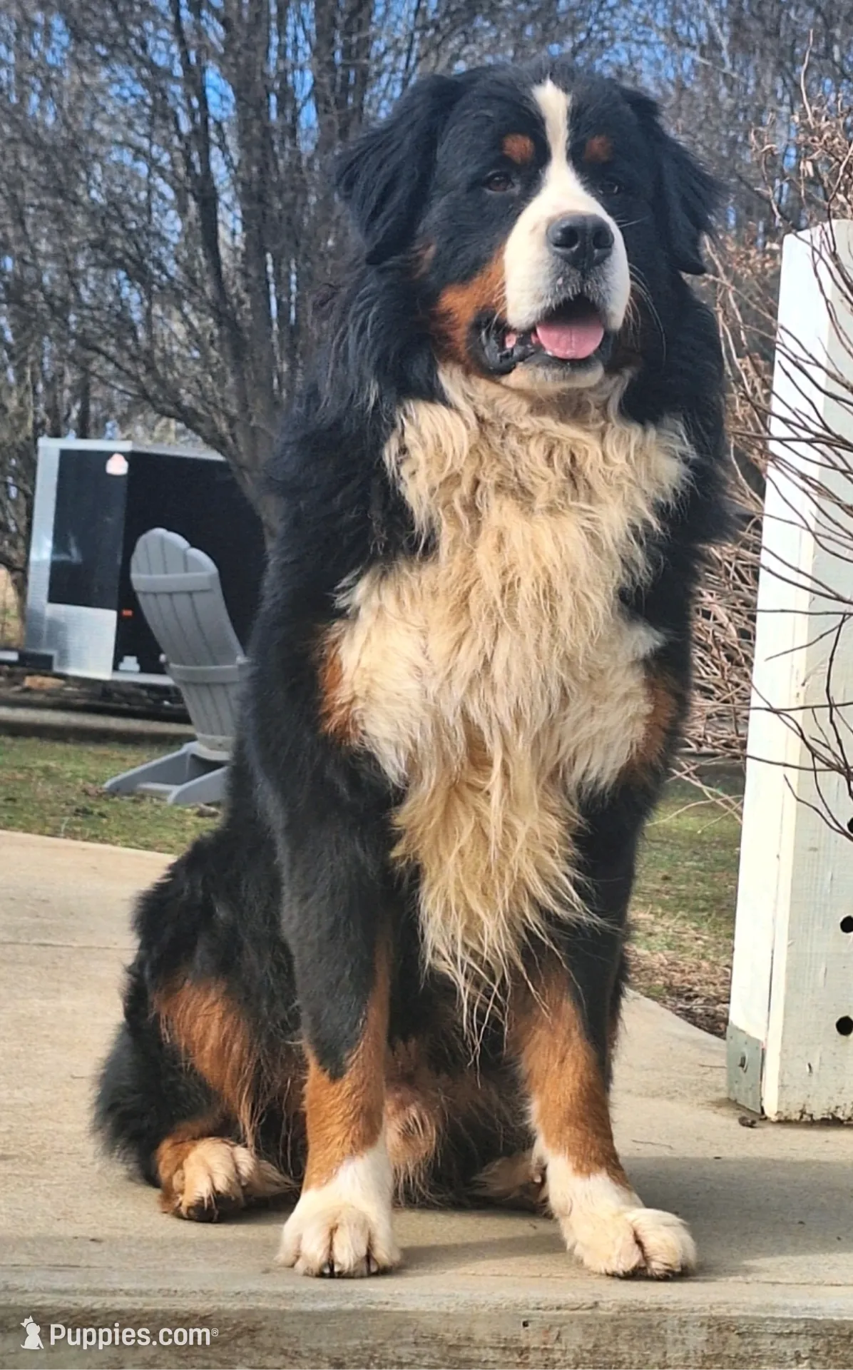 processed/e628ee3b-dcda-4fad-8618-a6bbf4165c61/listing/dbe1f456-6578-4796-bebc-e969023c43d1/fa2478ef-2c5d-42fa-a349-b502f5602d1c