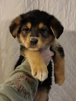 processed/e628ee3b-dcda-4fad-8618-a6bbf4165c61/listing/ee0a9c7c-12bc-4ef0-8f51-83282aada124/66ba2a0a-3b08-440c-ac7c-8b175c49e415